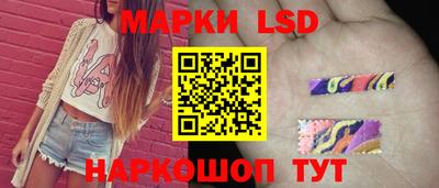 крисы Дубна