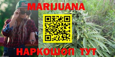 крисы Дубна