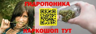 стаф Донской