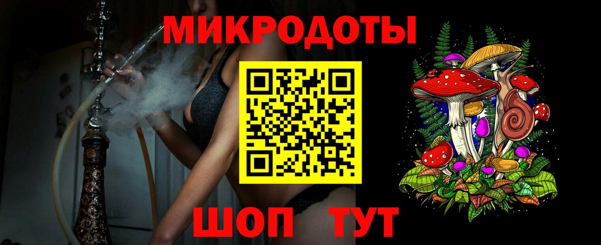 Псилоцибиновые грибы Psilocybe Малоярославец
